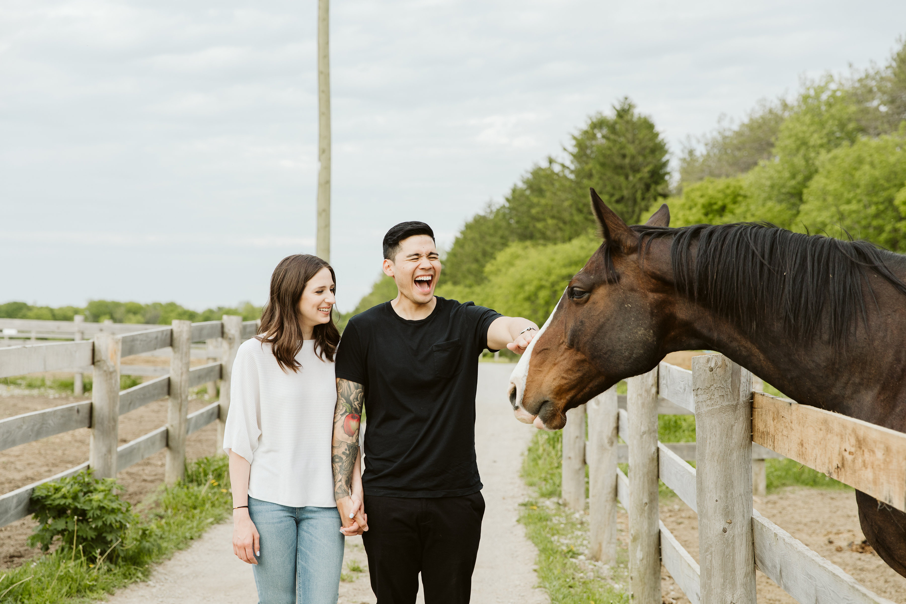 dog tales engagement photos