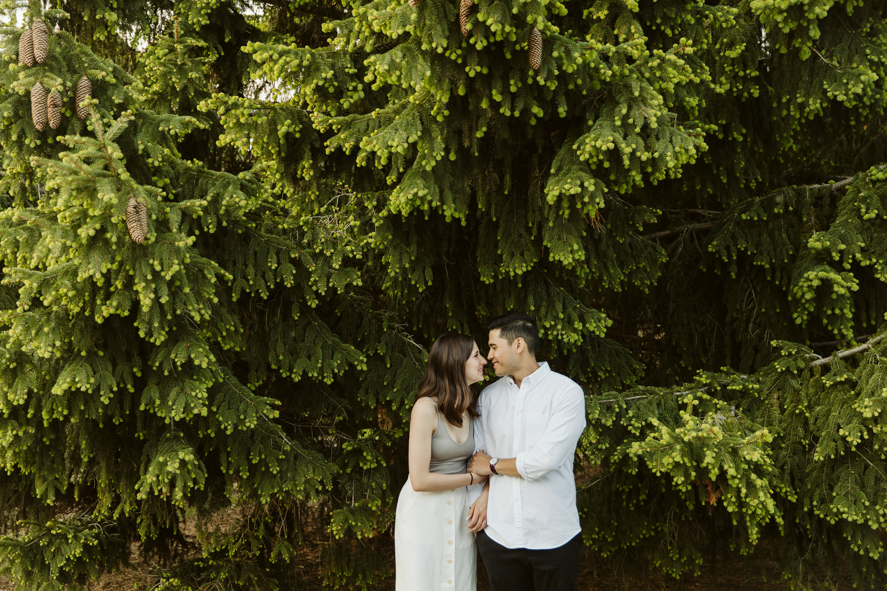 dog tales rescue engagement photogrpahy