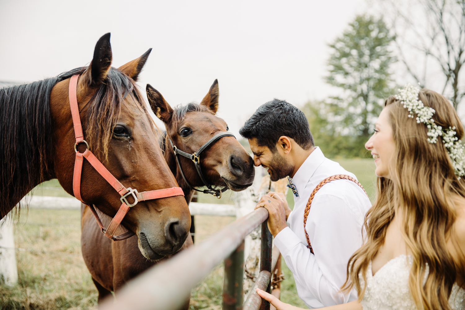 boho barn wedding with horses