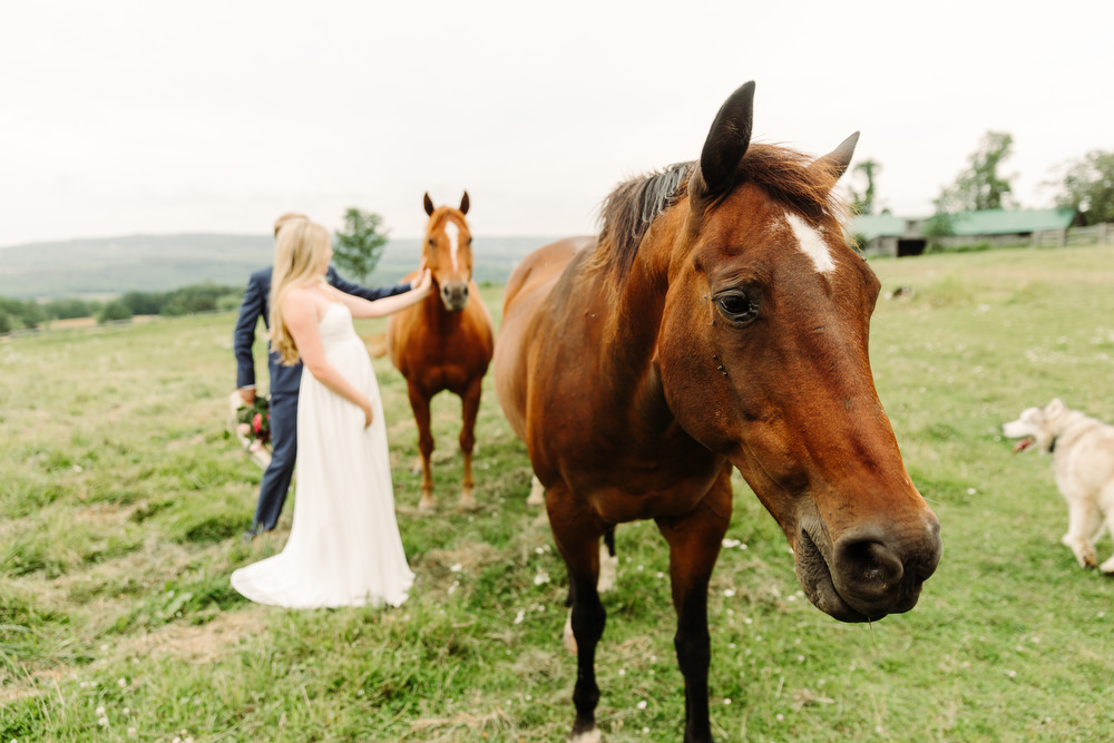 country farm wedding photography collingwood