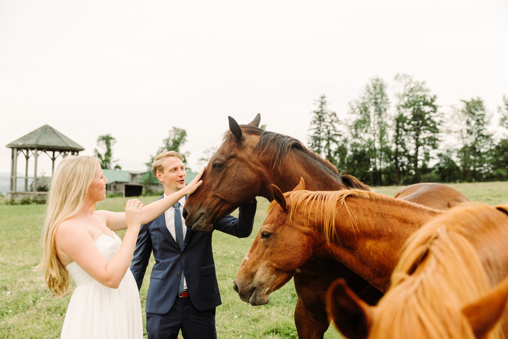 collingwood wedding photography with horses